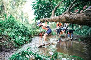 BIB: 
                            <button type="button" onclick="openModal(25515630)" class="btn btn-primary btn-sm float-right btn-popup" data-toggle="modal" data-target=".modal-high-quality">
                        <i class="fas fa-shopping-cart"></i> Add to Cart
                    </button>
                                            <button type="button" onclick="isThisMe(25515630, true)" class="btn btn-success btn-sm float-right btn-popup btn-isme hidden" data-toggle="tooltip" data-placement="bottom" title="นี่คือรูปของคุณใช่ไหม คลิกที่นี่เพื่อเอาเข้าอัลบั้ม">
                        <i class="fas fa-plus"></i> Add to album
                    </button>
                    <button type="button" onclick="isThisMe(25515630, false)" class="btn btn-warning btn-sm float-right btn-popup btn-isnotme hidden">
                        <i class="fas fa-ban"></i> Remove from album
                    </button>